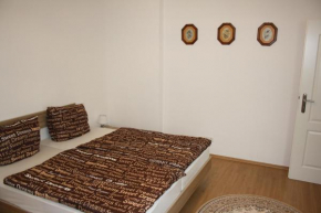 Zwei-Zimmer-Wohnung im Zentrum